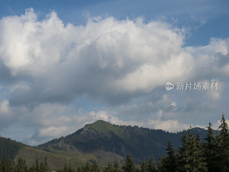在低塔特拉斯山脉的Chopok山从Demanovska dolina, Jasna，斯洛伐克，夏天的阴天